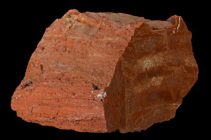 Brick Red, Polished Petrified Wood (Araucarioxylon) - Arizona #147901